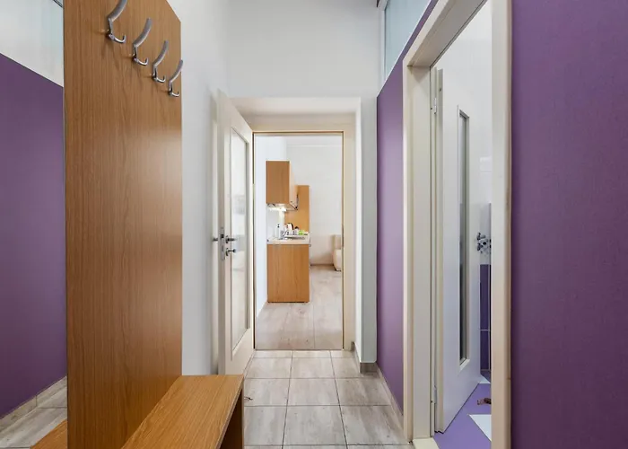 维罗纳卡罗维发利公寓酒店 *